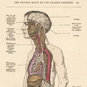Symptoms of Rabies 1870