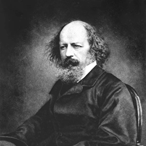 Tennyson Maclure