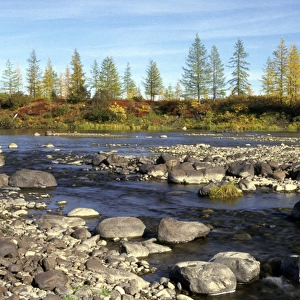 A typical small river in semi-tundra in autumn