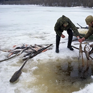Under-ice net fishing, typical in Russia and particularly