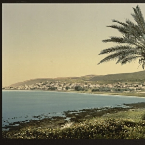 View from near foot of Mount Carmel, Chaifa, (i. e. Haifa, I