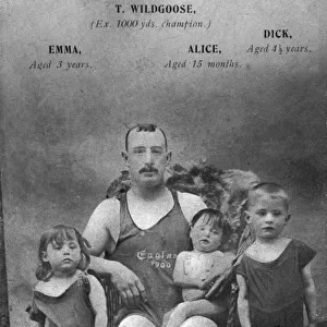 Wildgoose family of swimmers