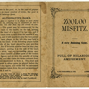 Zooloo Misfitz instruction leaflet