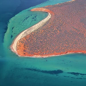 Australia - Shark Bay, World Heritage Area (UNESCO) Francois Peron National Park, Western Australia