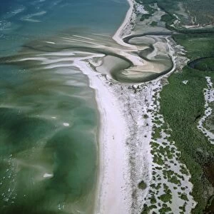 Boucaut Bay, aerial sandy beach & mangroves, Arnhemland, Northern Territory, Australia JPF48703