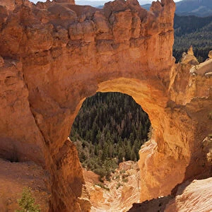 Bryce Canyon: "Natural bridge" (strictly-speaking, it's an arch), Utah, USA