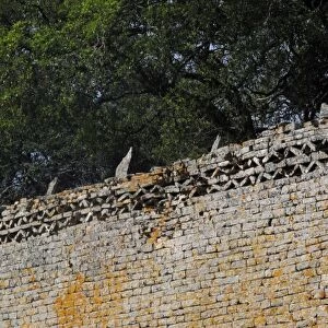 Great Zimbabwe Wall - Great Zimbabwe