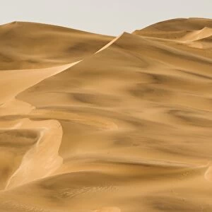 Scenic dune view - Dune Fields - Namib Desert - Namibia - Africa