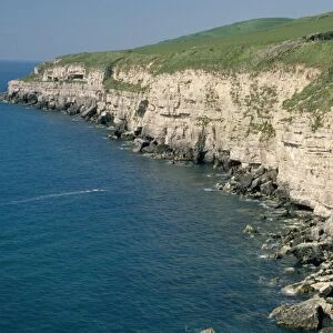 UK - limestone cliffs with seabird colonies. Seacombe Dorset