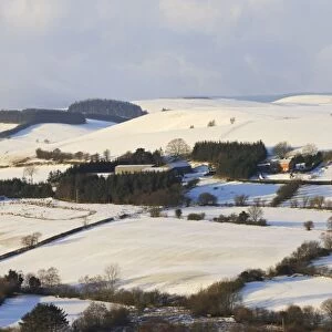 View of llidiartywaen, powys Wales in snow