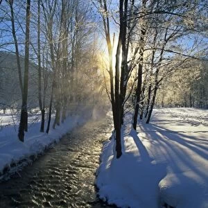 Winter scenery morning sun and steaming brook flanked by frost-covered trees Baden-Wuerttemberg, Germany
