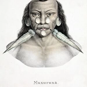 1827 Schinz Amazon Matis Indian colour