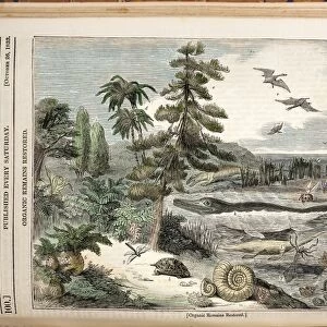 1833 Penny Magazine extinct animals color