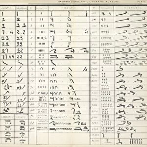 Ancient Egyptian numerals, 19th century C016 / 2823