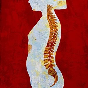 Artwork of spine on profile of a young girl