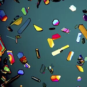 Aspirin crystals, light micrograph