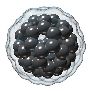 Buckminsterfullerene molecule C016 / 8369