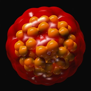 Buckminsterfullerene molecule C016 / 8372