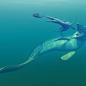 Cretaceous marine predators, artwork