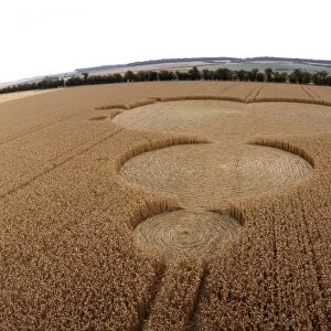 Crop formation in form of Mandelbrot set