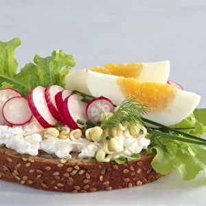 Egg and cottage cheese salad on bread C014 / 1507