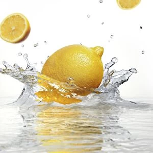 Lemon splashing into water, artwork F007 / 8275