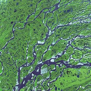 Lena River Delta, satellite image