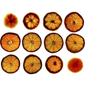 Mandarin orange slices C016 / 9650