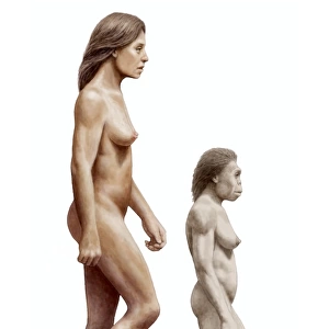 Modern human and Homo floresiensis
