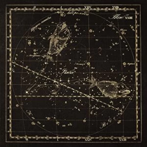 Pisces constellation, 1829 C016 / 4409
