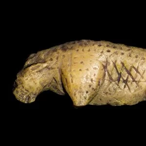 Prehistoric carved lion, Vogelherd Cave C015 / 6731