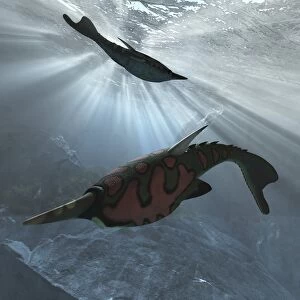 Pteraspis prehistoric fish, artwork