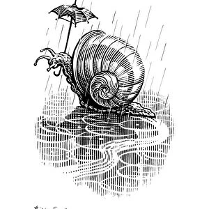 Snail with umbrella, satirical artwork C013 / 6471