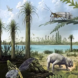 Triassic of Australia, prehistoric scene C013 / 7114