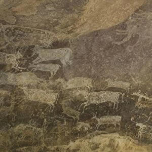 Some of the animals in the Palaeolithic artwork on the roof of the Zoo Cave