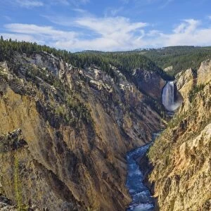 Artists Point looking towards Lower Falls, Grand Canyon, Yellowstone National Park