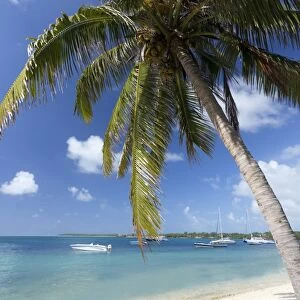 Beach scene with palm trees, blue sky and boats moored on the Indian Ocean at Trou D eu Douce, a village on the east coast of Mauritius where tourists catch ferries to the idyllic island of Ile Aux Cerfs, Mauritius, Indian Ocean, Africa