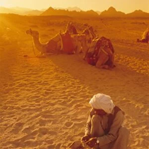 Bedouins, Sinai, Egypt, North Africa