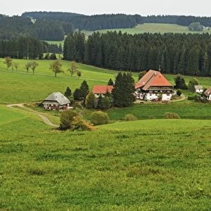 Black Forest Farmhouse, near Neukirch, Black Forest, Baden-Wurttemberg, Germany, Europe