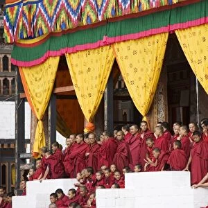 Buddhist monks watching festival (Tsechu), Trashi Chhoe Dzong, Thimphu, Bhutan, Asia