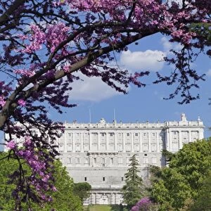 Campo del Moro Park, Royal Palace (Palacio Real), Madrid, Spain, Europe