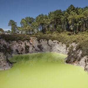 The Devils Bath, Waiotapu Goethermal Wonderland, Rotorua, New Zealand, Oceania