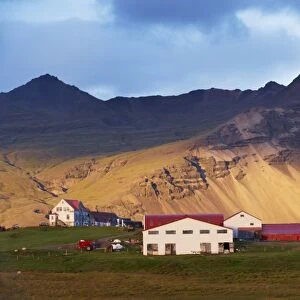 Farm near Hofn, East Fjords region (Austurland), Iceland, Polar Regions