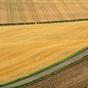 Fields and rural road near Old Winchester Hill, Hampshire, England, UK
