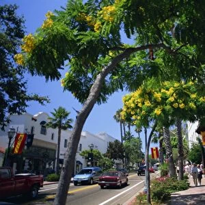 Flowering trees line the sidewalks of State Street in Santa Barbara