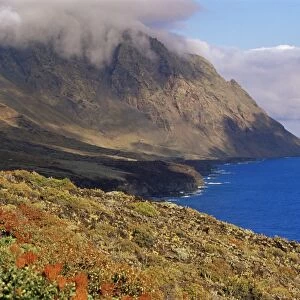 Flowers and mountains on the southern coast, El Hierro, Canary Islands