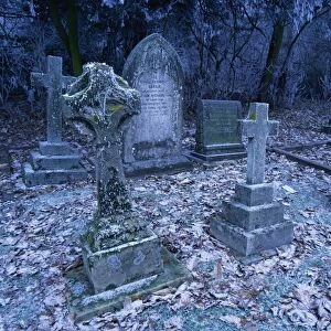 Frost on headstones and gravestones in a graveyard in winter at Ossington