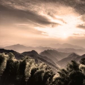 Misty mountains with Bamboo forest in a secluded region of Zhejiang, China, Asia