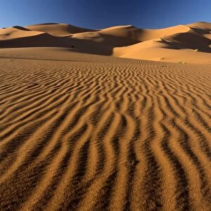Orange sand dunes and sand ripples, Erg Chebbi sand sea, Sahara Desert near Merzouga, Morocco, North Africa, Africa