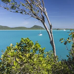 Panoramic view of Spearn Bay from a hill overlooking the quiet lagoon visited by many sailboats, St